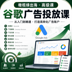 橄榄绿出海·谷歌广告投放课(高级课) 配图
